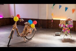 Festival de Oversteek 2021: De kaartverkoop is gestart!