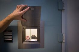 7 jaar cel en tbs voor pakketbezorger die man in Wijchen doodreed