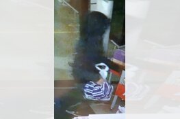 Inbreker slaat slag bij filialen Etos, wie heeft informatie?