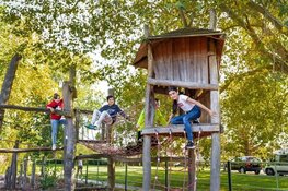Groen schoolplein voor 1 op de 3 Gelderse basisscholen