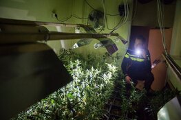 Politie stuit op hennepkwekerij in bedrijfspand