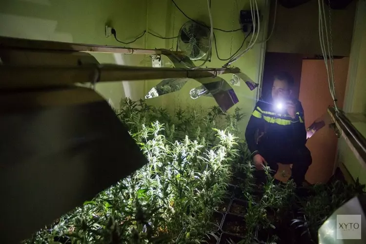 Politie stuit op hennepkwekerij in bedrijfspand