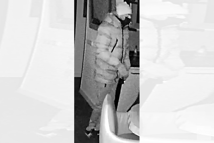 Gezocht: Woninginbraak Ganzenheuvel