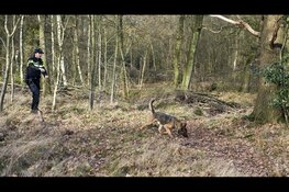 Politie dringend op zoek naar tassen of zakken in Nijmegen