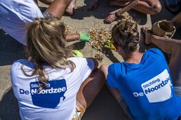 Hele Noordzeekust schoongemaakt: vrijwilligers ruimen 86.954 peuken en 4.408 kilo afval op van stranden