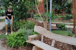 Op zoek naar een super leuk uitje? Kom gezellig minigolfen of wandel tussen de mooiste vlinders !