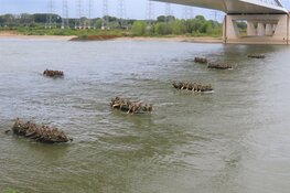 79 jaar Waalcrossing Nijmegen