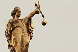 Hondencoach veroordeeld voor ontucht en verkrachting van 2 stagiaires