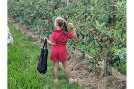 Enthousiaste bezoekers op de plukdagen van De Woerdt in Ressen