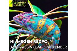 Nijmegen Rexpo
