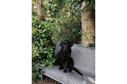 Samen een heerlijke boswandeling