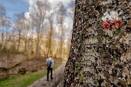 Brandwerende bermen houden natuurbranden tegen