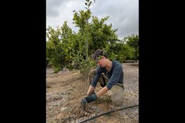 Inwoners krijgen een boom cadeau en maken Wolfskuil en Hatertse Hei groener