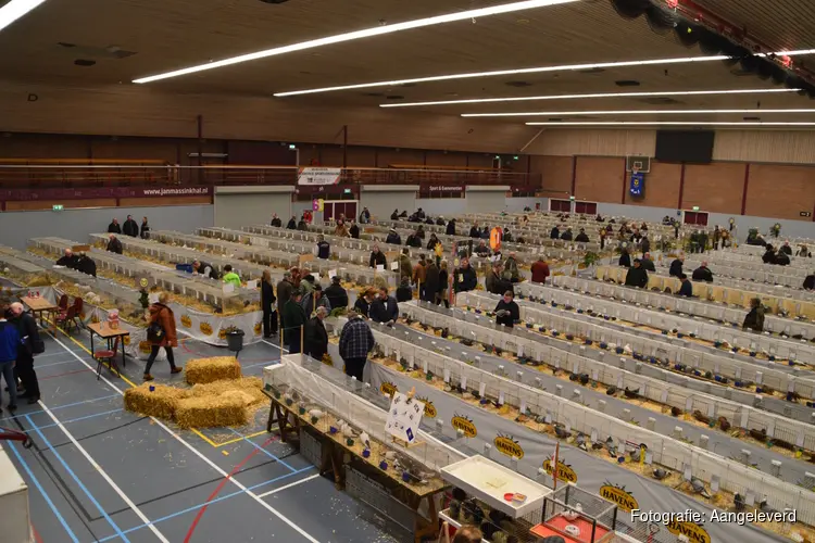 63e Gelderlandshow in de Roskam in Kapel Avezaath