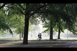 Gelderlanders steeds minder actief: minder dan helft voldoet aan beweegrichtlijn