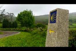 Nijmeegse ultraloper Geert van Nispen start recordpoging op 800 kilometer lange Camino Francés
