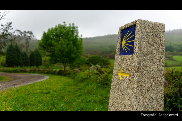 Nijmeegse ultraloper Geert van Nispen start recordpoging op 800 kilometer lange Camino Francés