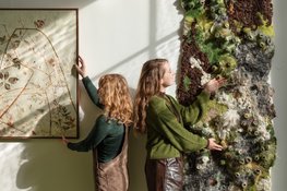 Thuis, tussen de bomen