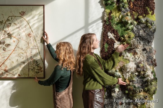 Thuis, tussen de bomen