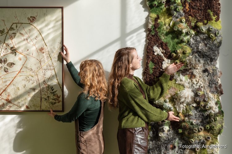 Thuis, tussen de bomen