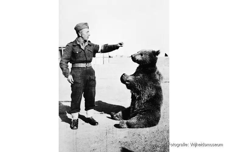 Wojtek! De beer die soldaat werd. Familietentoonstelling in het Vrijheidsmuseum