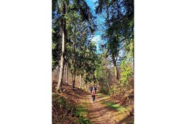 Samen de natuur in tijdens de Avontuurlijk leven trail
