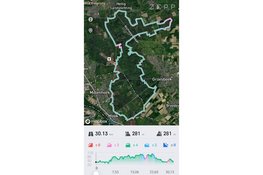 Samen de natuur in tijdens de Avontuurlijk leven trail
