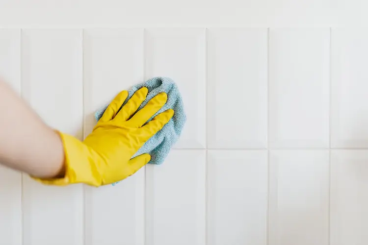 De mogelijkheden voor schoonmaakwerk in Nijmegen
